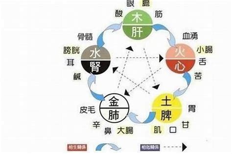 五行缺水如何化解